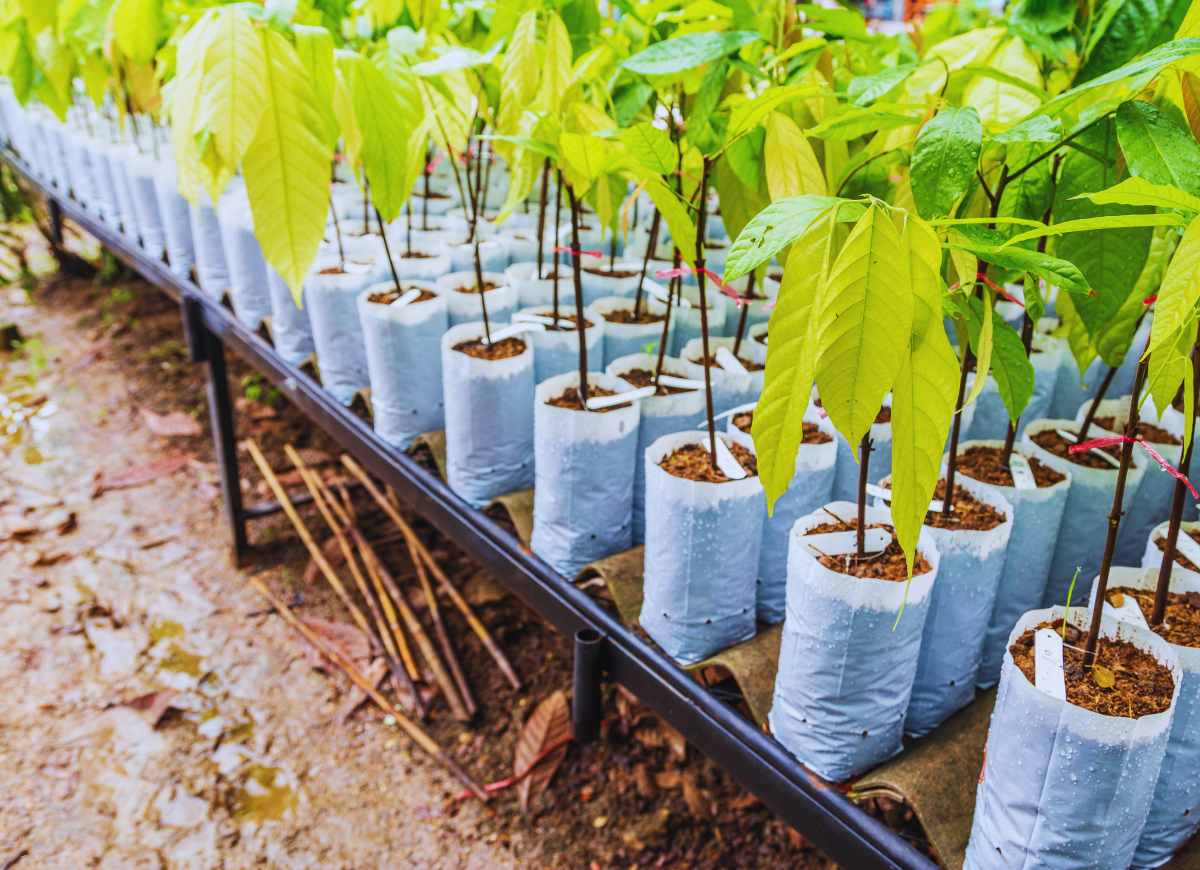 Untitled design - 2025-07-21T092007.411