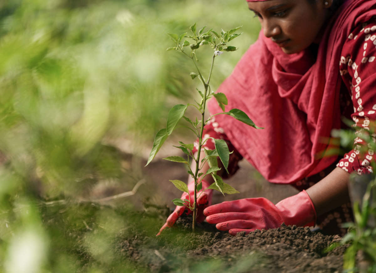 Untitled design - 2025-07-21T092100.095