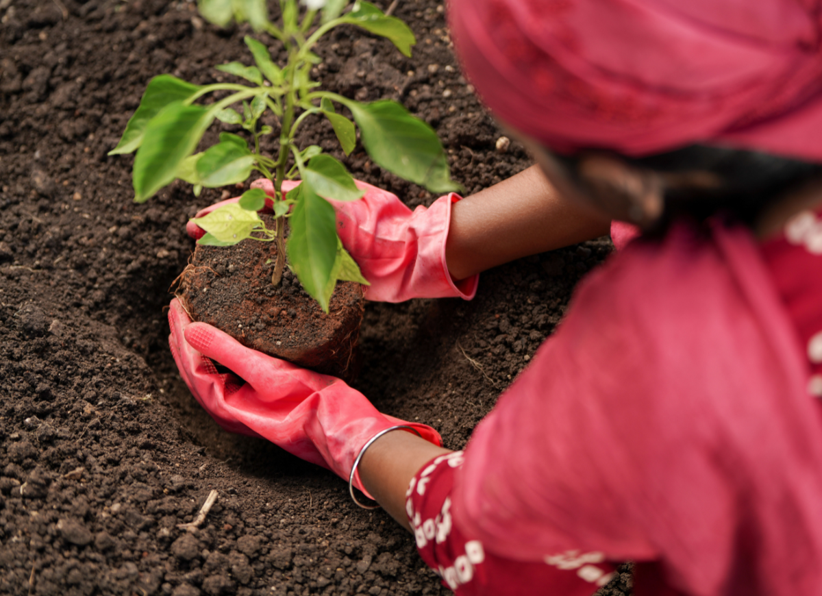 Untitled design - 2025-07-21T092132.205